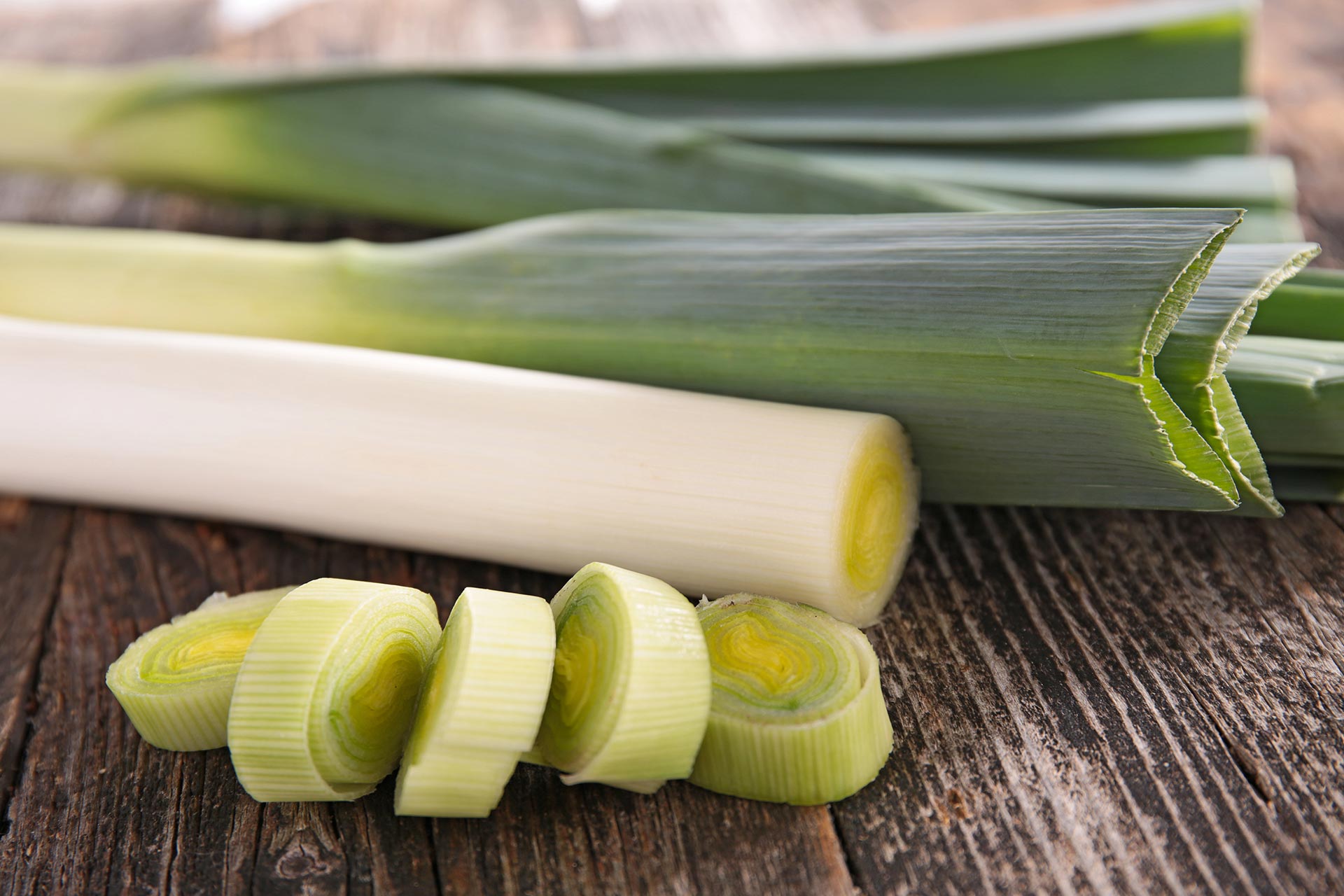 Leek. Лук-порей. Лук-порей (Leek).. Цибуля порей. Лук порей Уэльс.