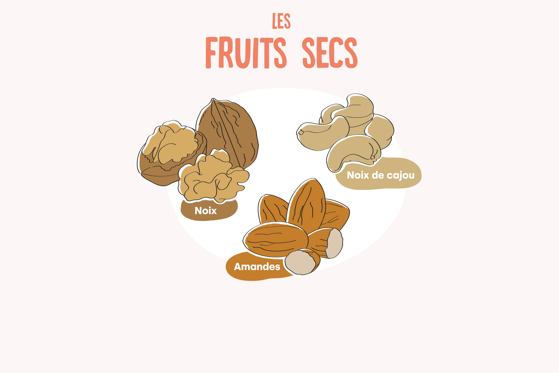 SUN Fruits secs - ✨ QUEL FRUIT SEC CORRESPOND A VOTRE